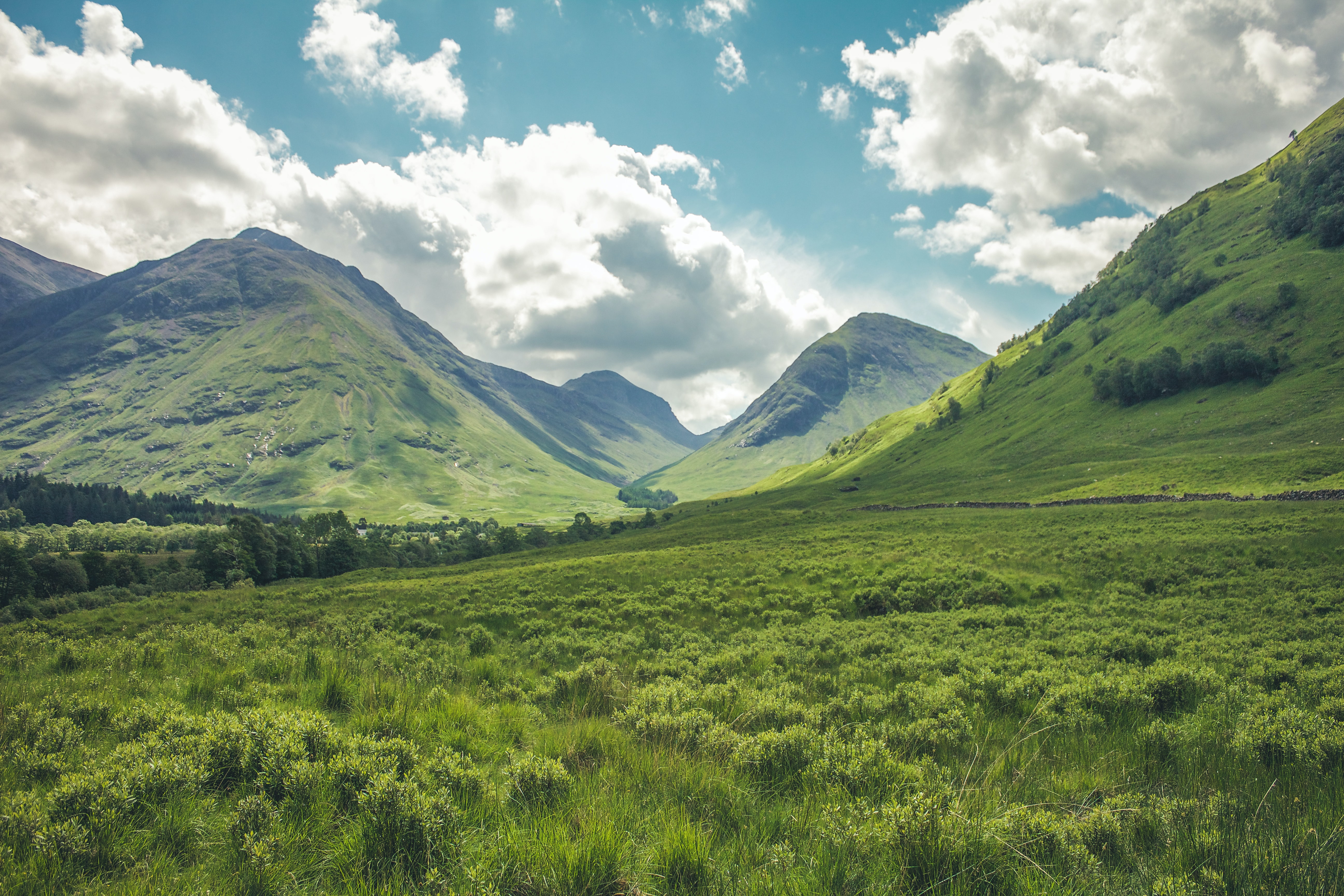 landscape4